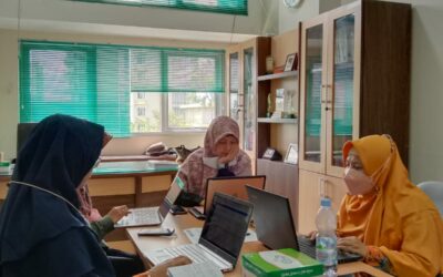 Audit Mutu Internal Fakultas Ekonomi, Ilmu Sosial dan Humaniora